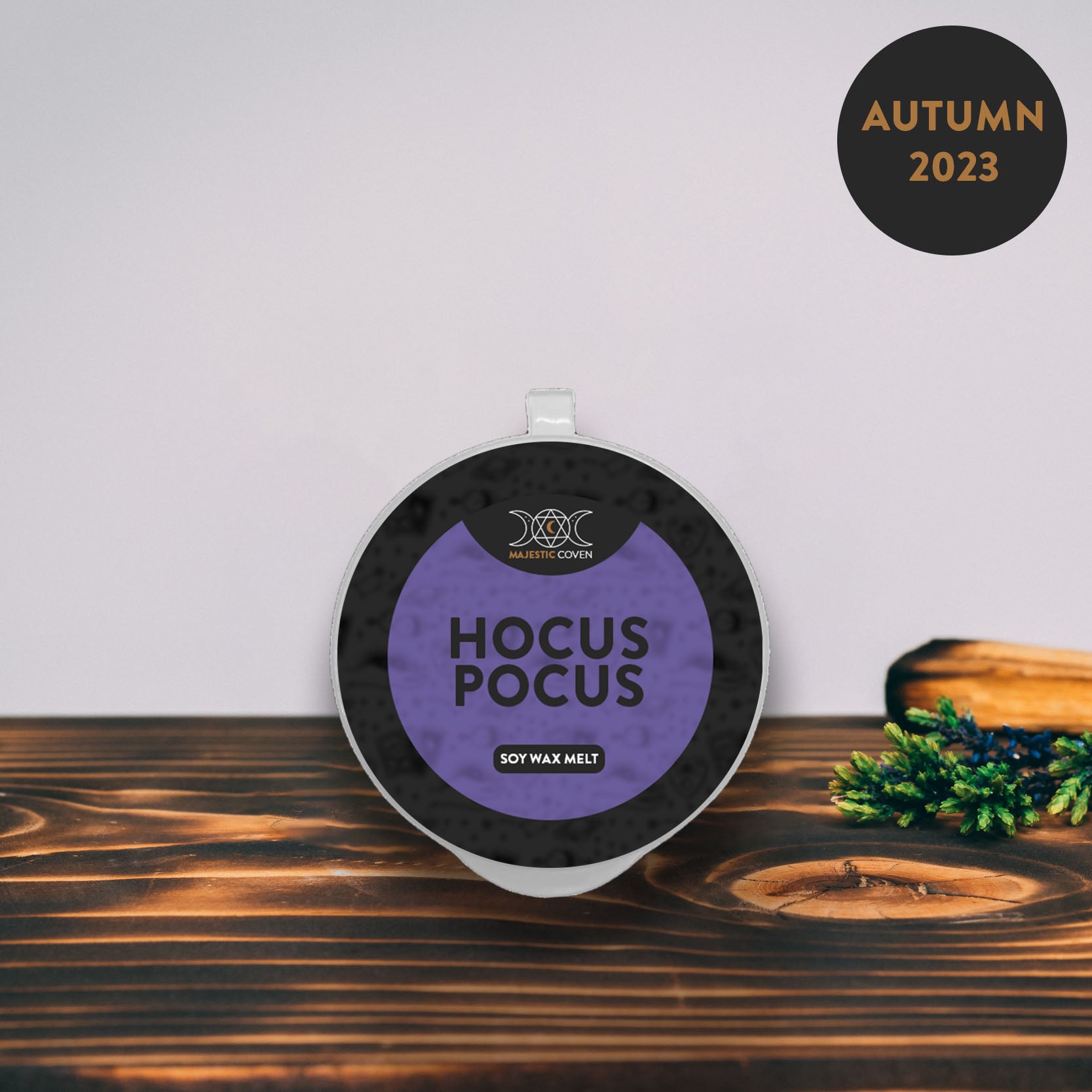 Hocus Pocus - Soy Wax Melt 20g Sample Pot Majestic Coven