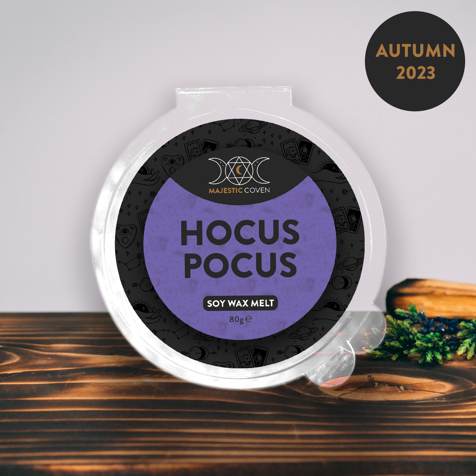 Hocus Pocus - Soy Wax Melt 80g Segment Pot Majestic Coven