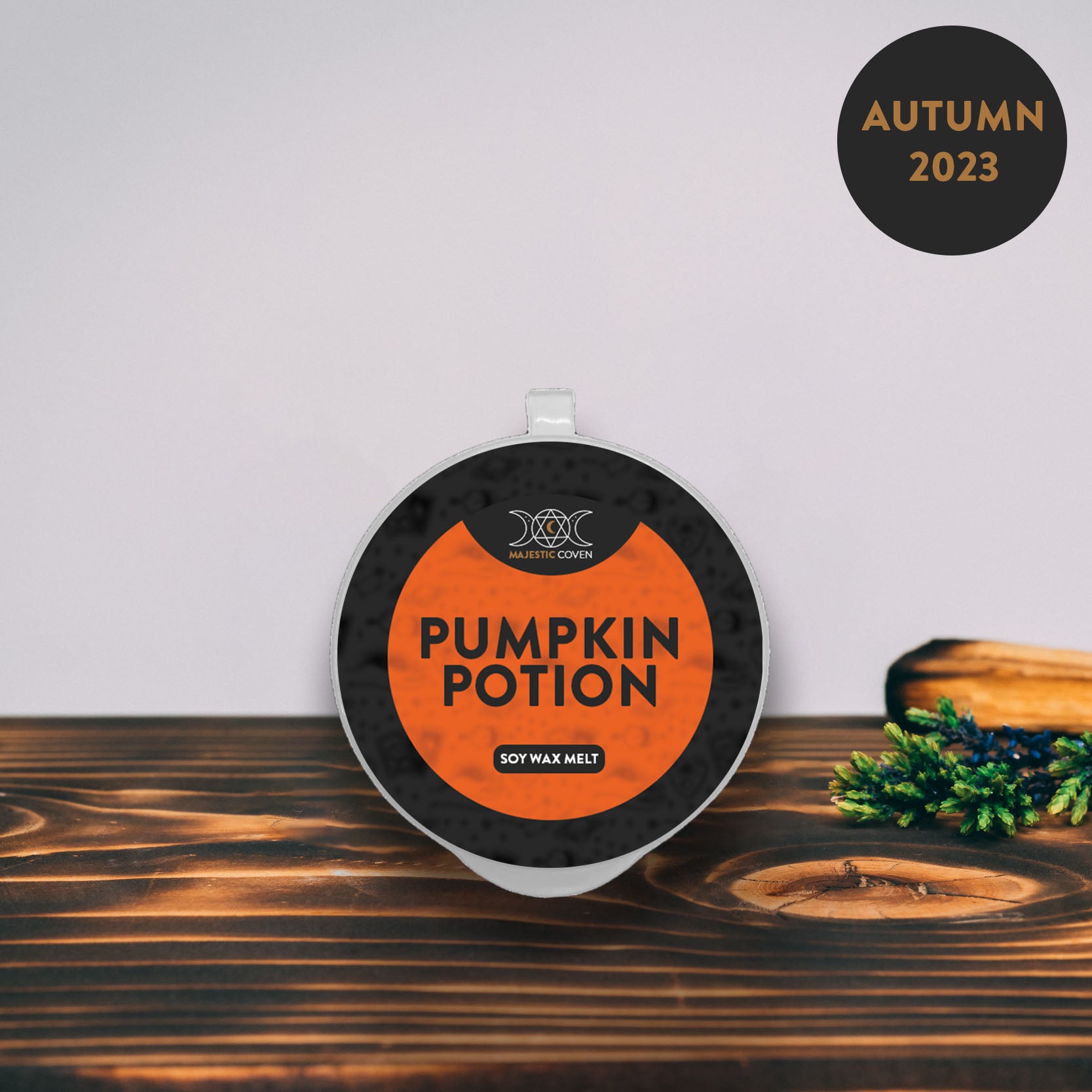 Pumpkin Potion - Soy Wax Melt 20g Sample Pot Majestic Coven